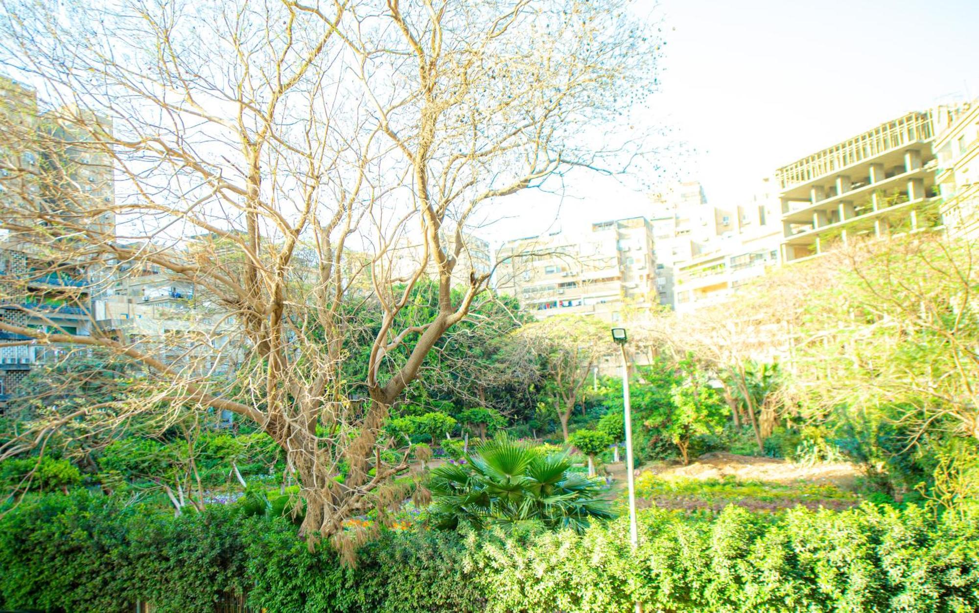Elegance Tower Aparthotel Giza Εξωτερικό φωτογραφία